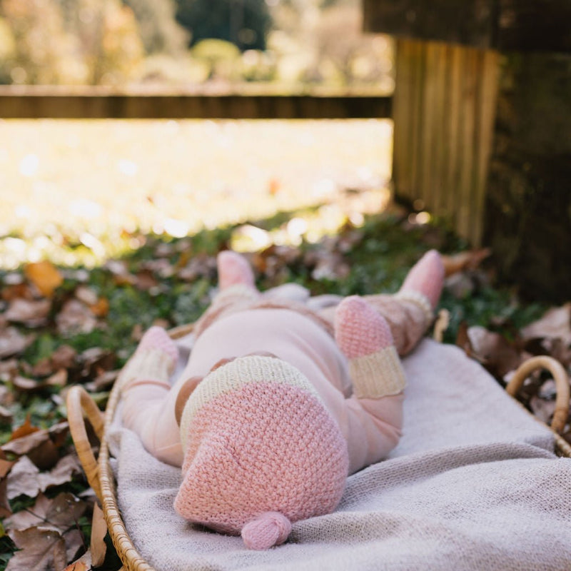 Acorn Springbud 100% Merino Gift Set - Pink