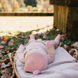 Acorn Springbud 100% Merino Gift Set - Pink