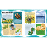 Curiosity Club - Natural World