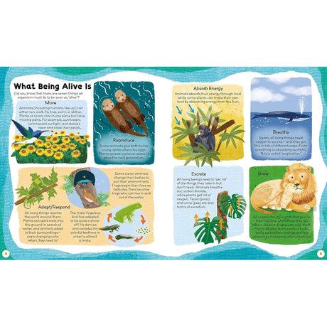 Curiosity Club - Natural World