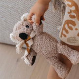 Humphrey Koala