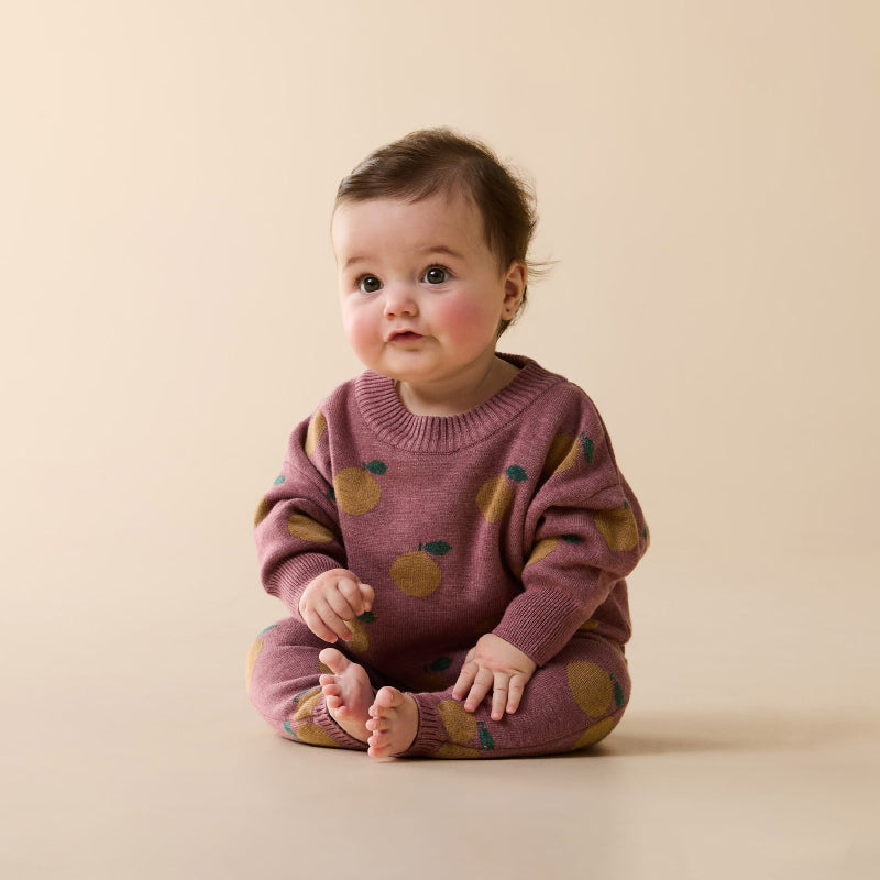 Wilson & Frenchy Knitted Jacquard Jumper - Clementine