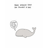 Sad Animal Facts