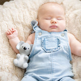 Koala Rubber Teether Rattle/Bath Toy In Box
