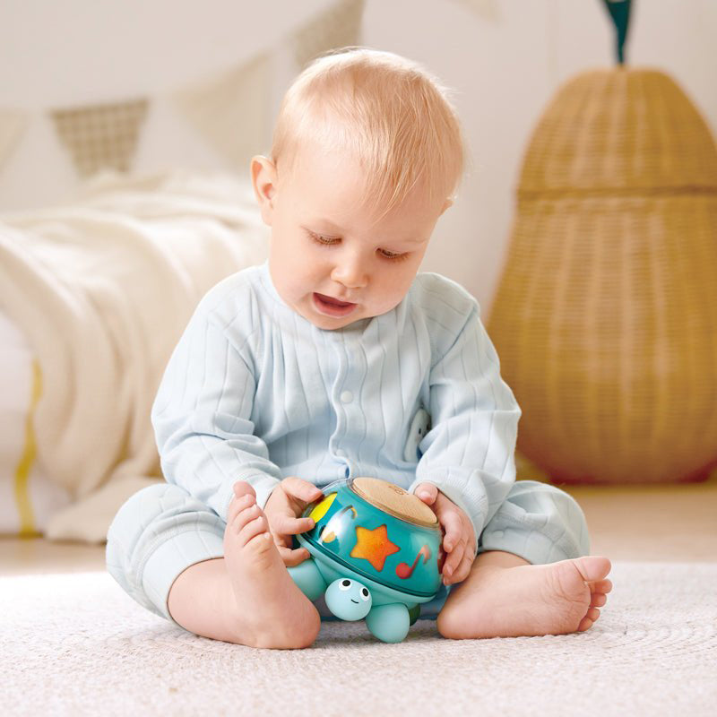 Hape Twist And Tune Turtle