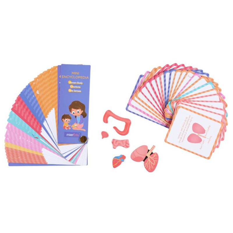 Magnetic Puzzle - All About Body + Emotion