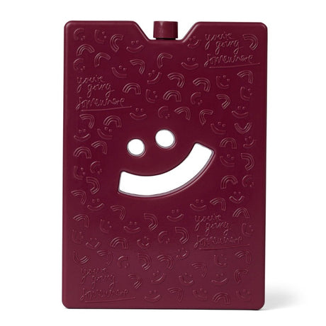 The Somewhere Co. Large Ice Brick - Burgundy