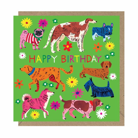 Birthday Card - Dogs