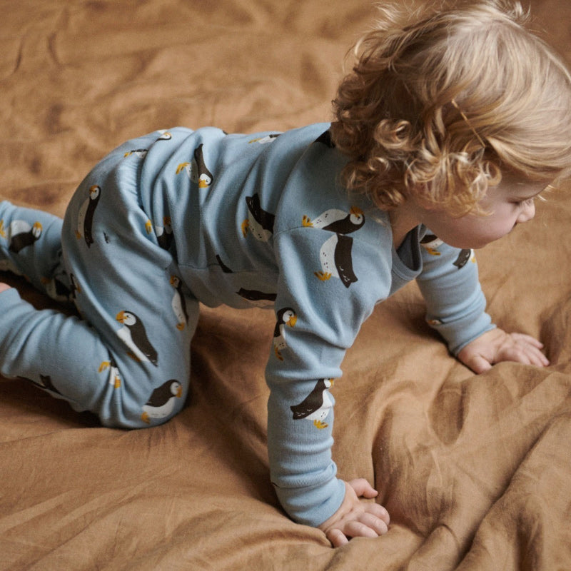 Nature Baby 2PC LS Pyjamas - Puffin Toffee