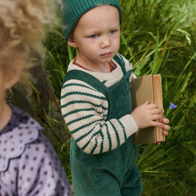 Nature Baby Billy Jumper - Pine Sailor Stripe