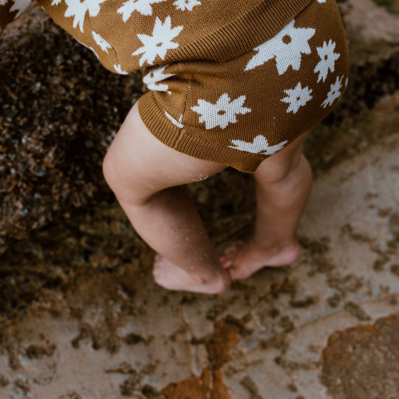 Grown Winter Garden Bloomers - Bronze