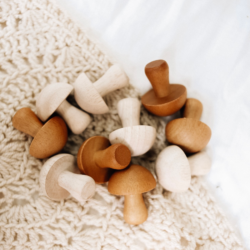 Q Toys Mushroom Set Of 10