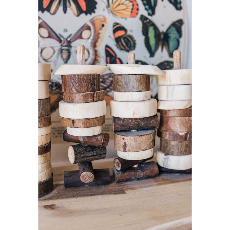 Q Toys Tree Sorter