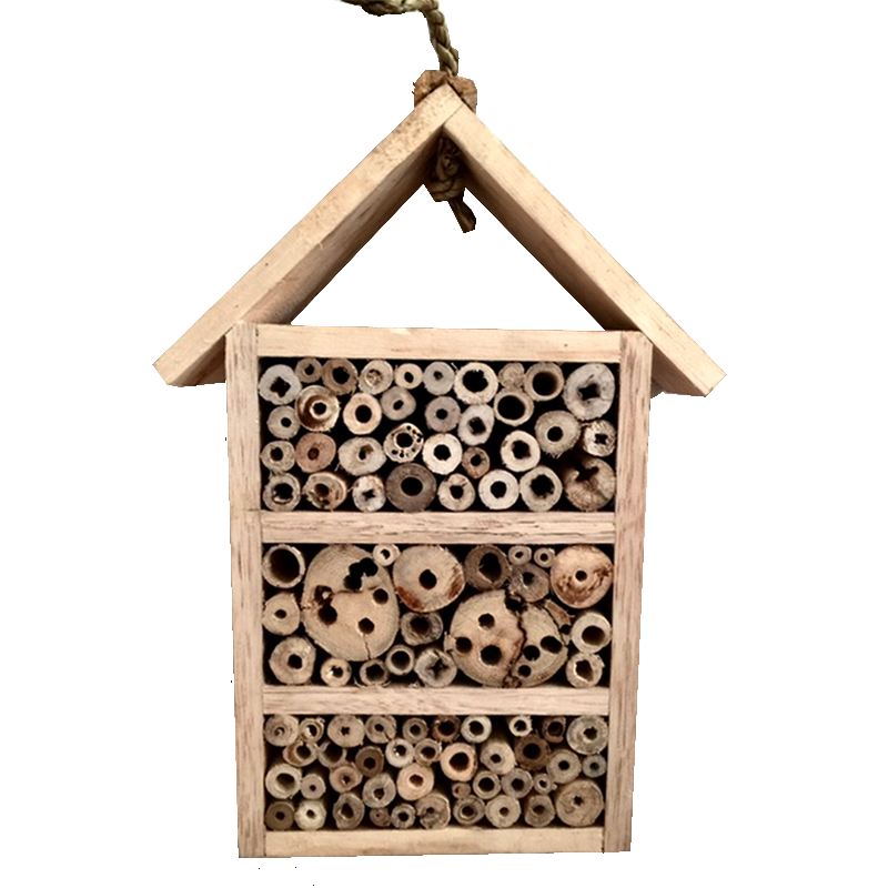 Insect House