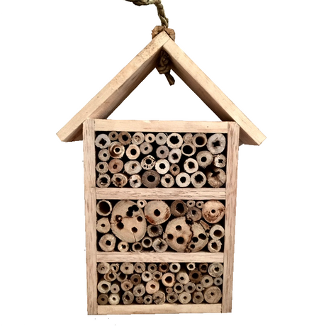 Insect House