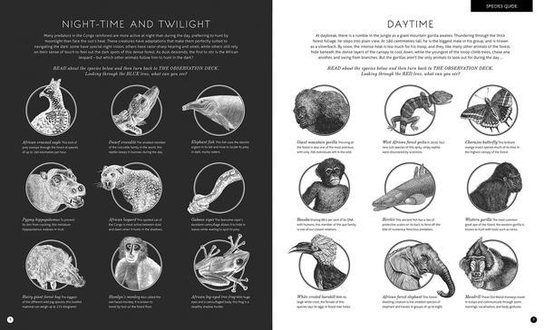 Illuminature - Rachel Williams