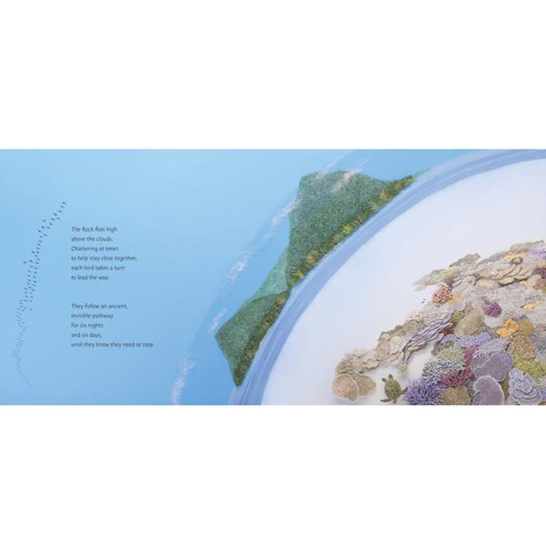 Circle - by  Jeannie Baker at Shorties