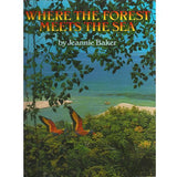 Where The Forest Meets The Sea - Jeannie Baker at shorties