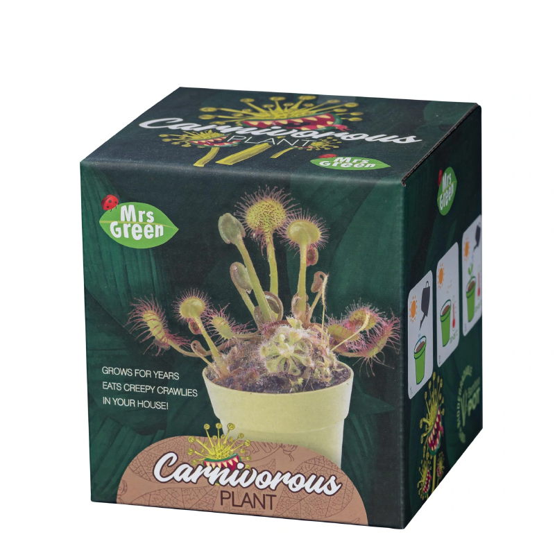 Carnivorous Plant