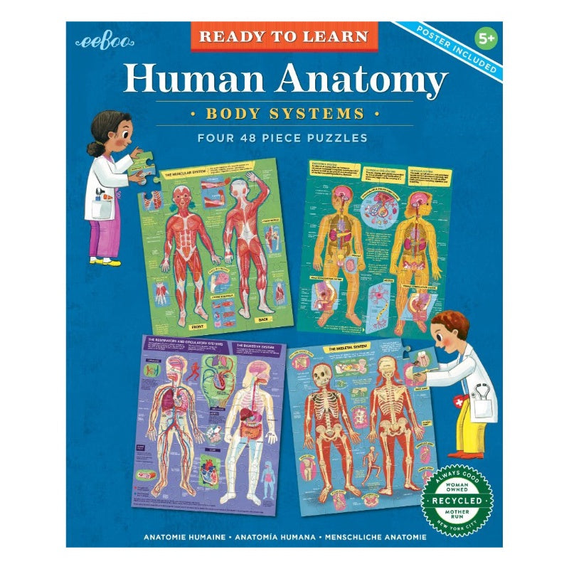 EeBoo Ready to Learn - Human Anatomy