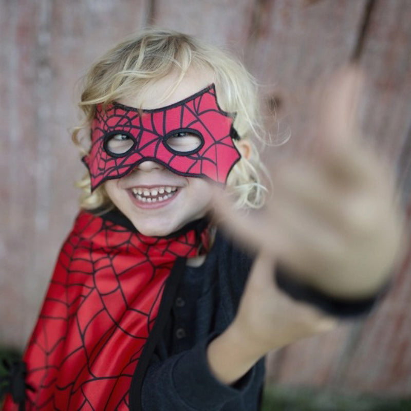 Reversible Spider & Bat Cape/Mask