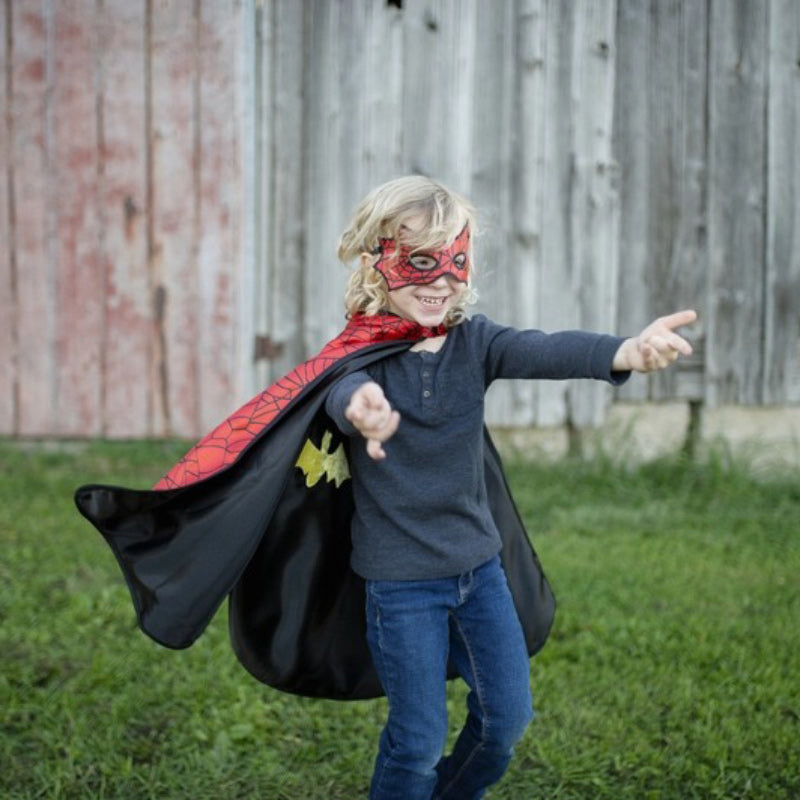 Reversible Spider & Bat Cape/Mask