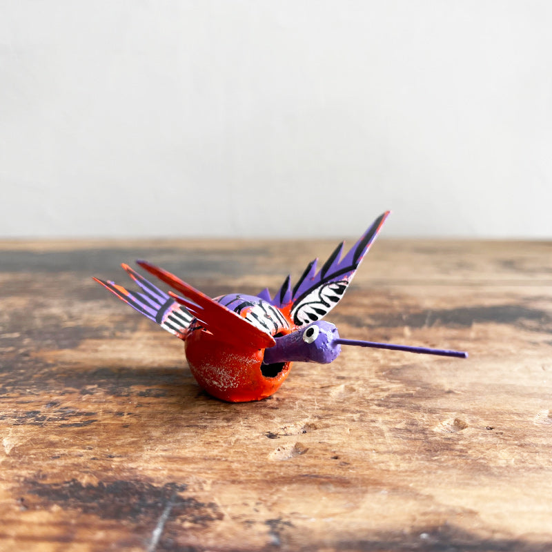 Mexican Nodding Seed Pod Hummingbird