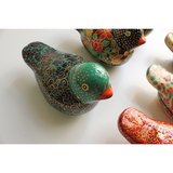 Paradise Parakeet box - assorted