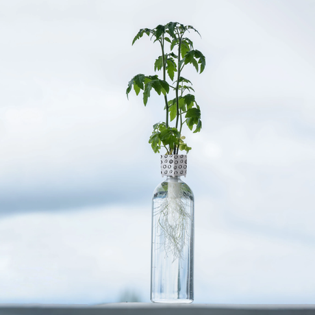 Bottle Grower
