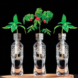 Bottle Grower