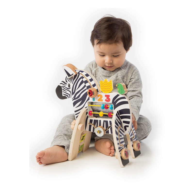 Activity Centre Zebra