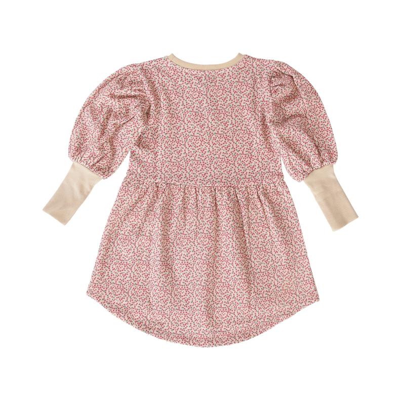 Peggy Winnie Dress - Mini Heart