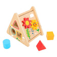 Activity Triangle