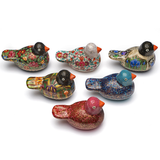 Paradise Parakeet box - assorted