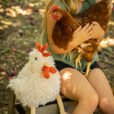 Roy The Rooster