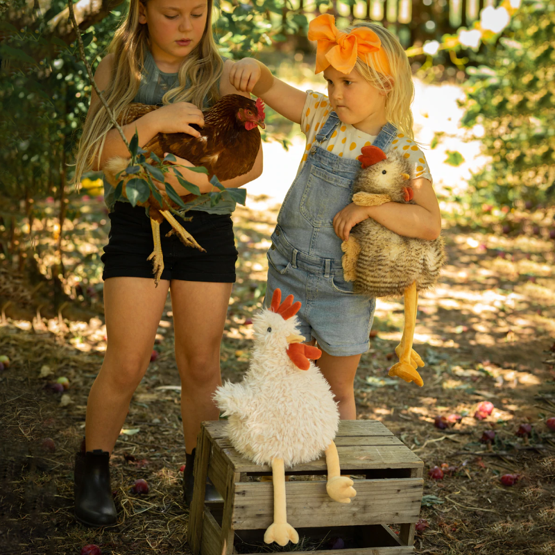 Roy The Rooster