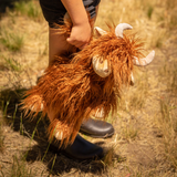 Henry The Highland Cow