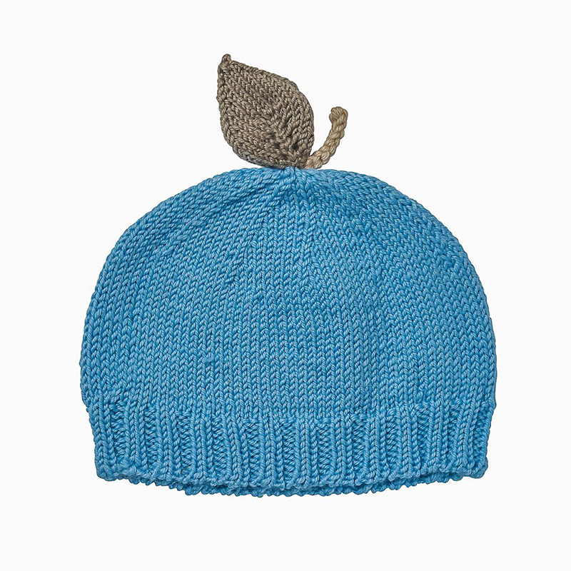 Acorn Blueberry Beanie