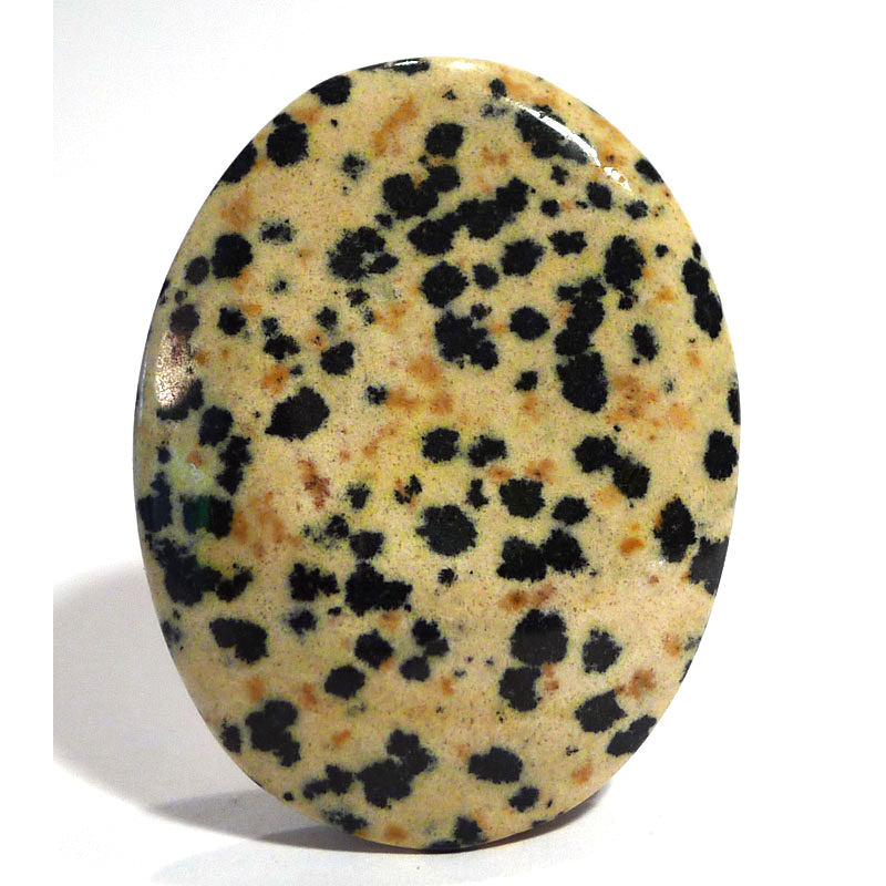 Dalmatian Jasper
