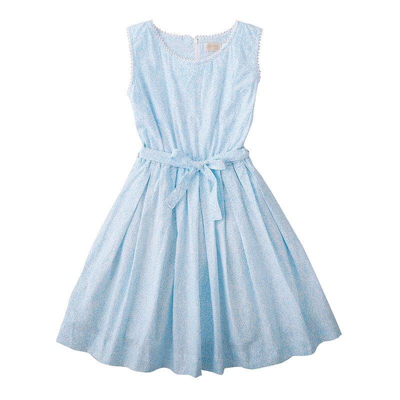 Peggy Blaze Dress - Blue Vine at Shorties