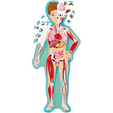 The Human Body Puzzle by sassi in Shorties innerwest