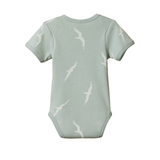Nature Baby SS Bodysuit - Flying Albatross