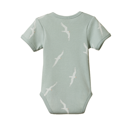 Nature Baby SS Bodysuit - Flying Albatross