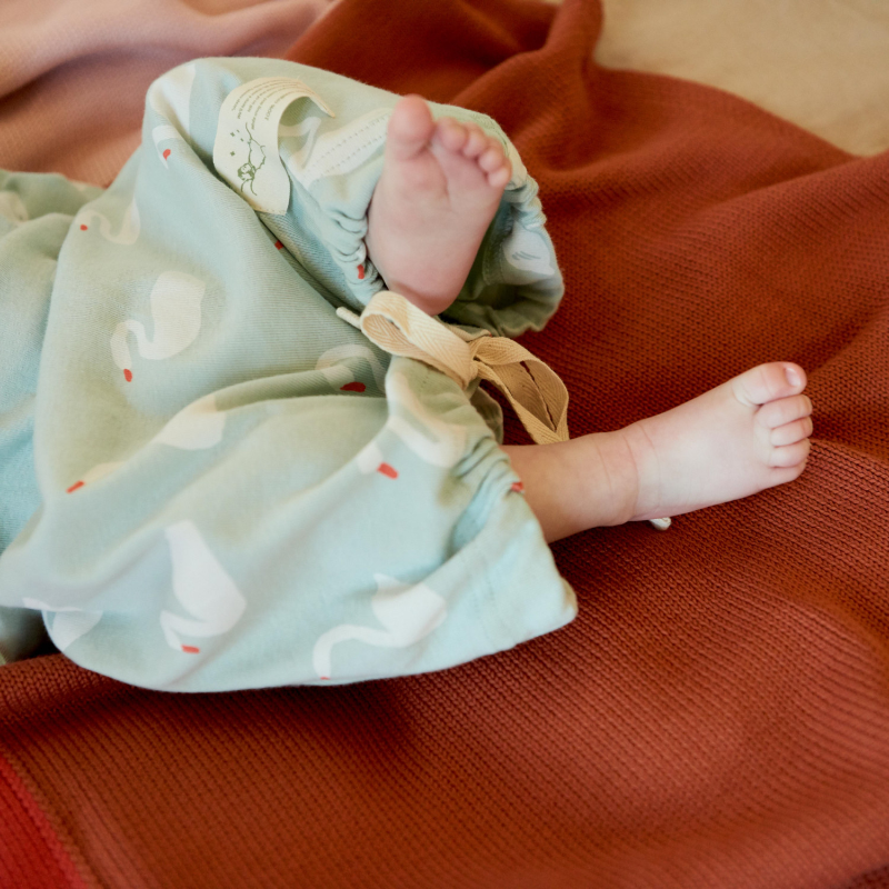 Nature Baby Sleeping Gown - Swan
