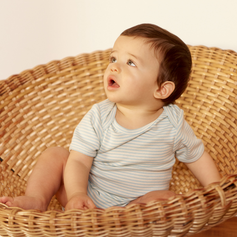 Nature Baby S/S Bodysuit - Pond Stripe