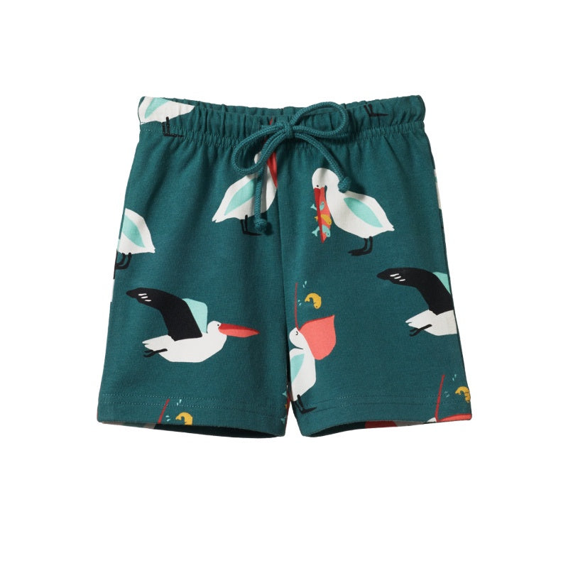 Nature Baby Jimmy Shorts - Pelican