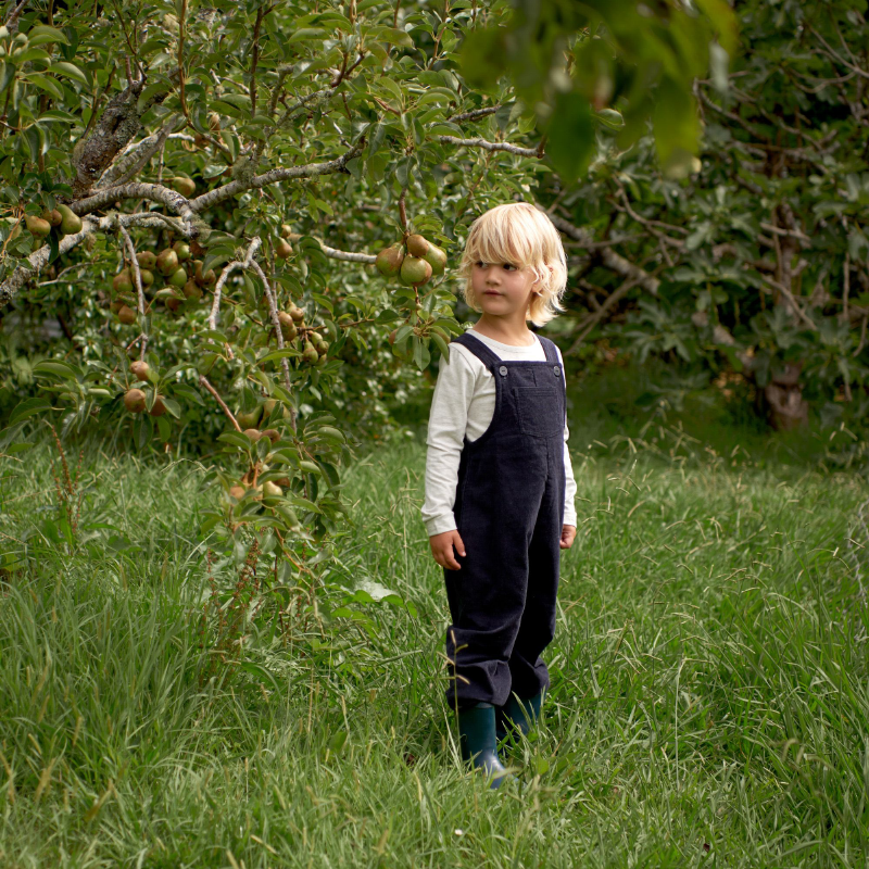 Nature Baby Tipper Overalls - Navy