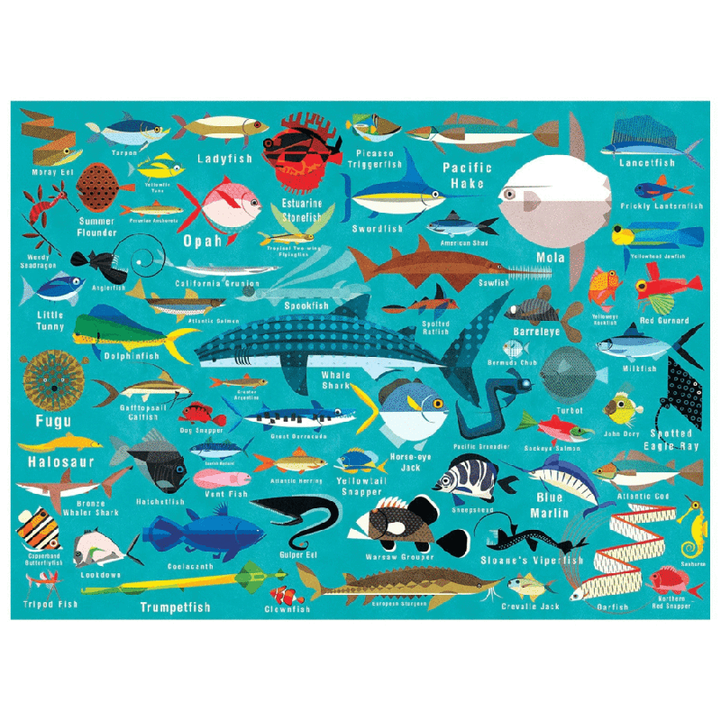 Mudpuppy 1000PC Puzzle - Ocean Life