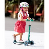 Mini Micro Deluxe Eco Scooter
