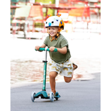 Mini Micro Deluxe Eco Scooter